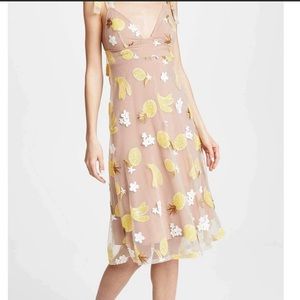 For Love & Lemons Dress